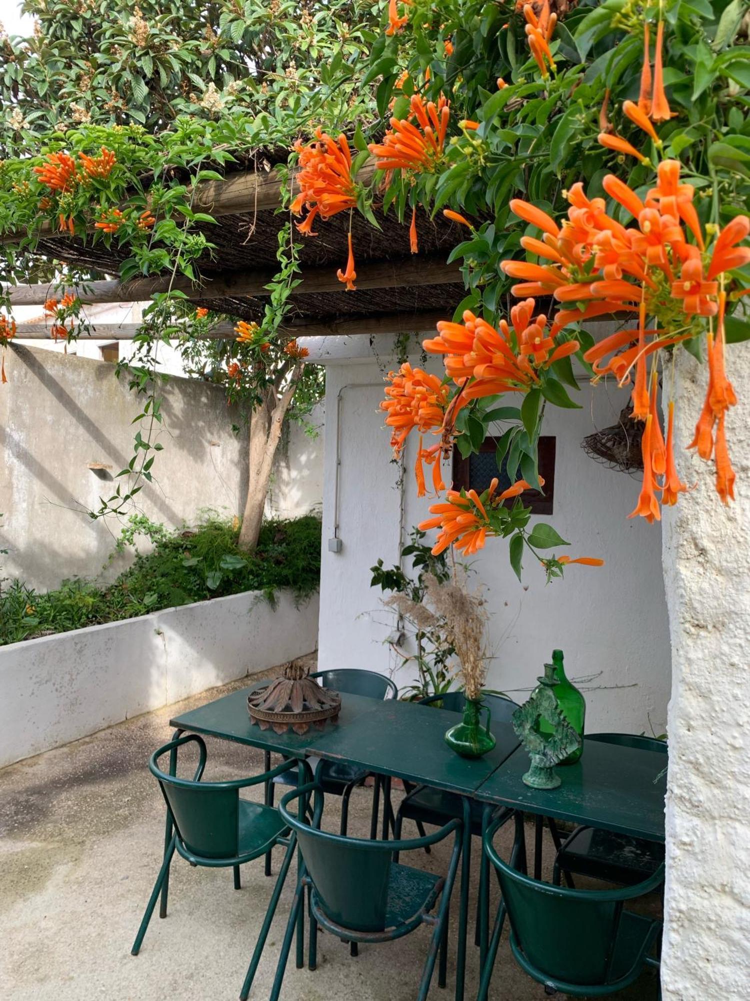 Farmacia Beach House Odemira Dış mekan fotoğraf